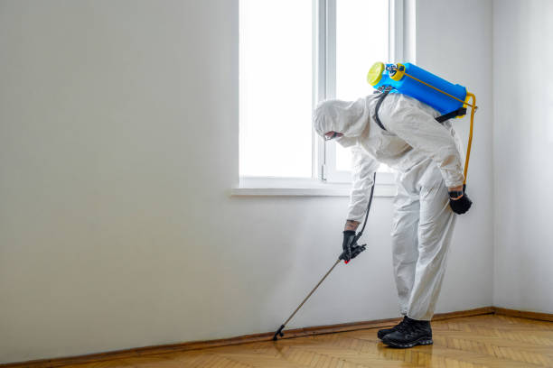 Insect Control in Vernon Valley, NJ