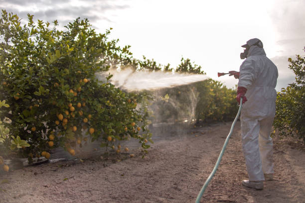 Best Residential Pest Control  in Vernon Valley, NJ