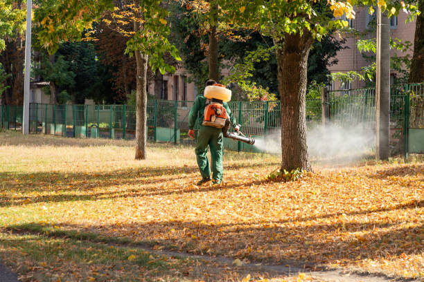 Best Pest Control Near Me in Vernon Valley, NJ