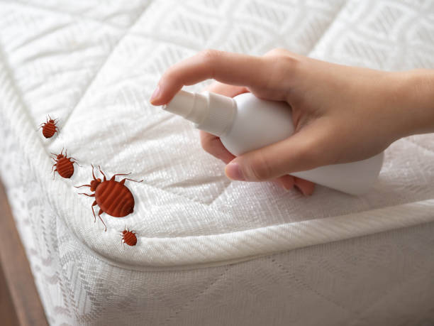 Best Wasp Removal Services  in Vernon Valley, NJ